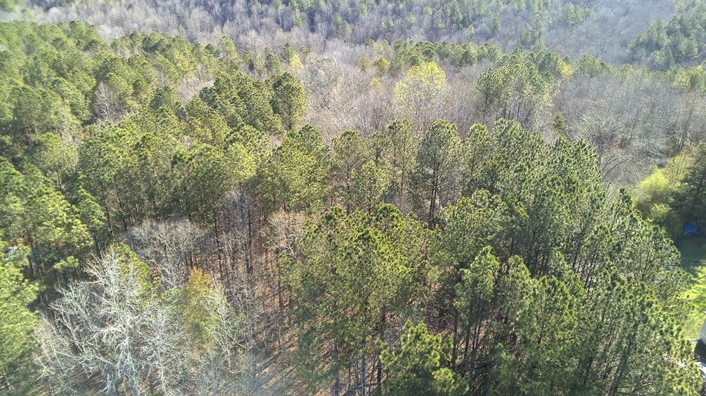 Lot 6 Boyds Mill Pond Road Laurens, SC 29360 - Photo 5 of 11