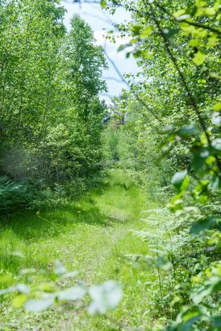 $70,000 | Lot 26-37 Otter Trail, Greenbush, ME 04418