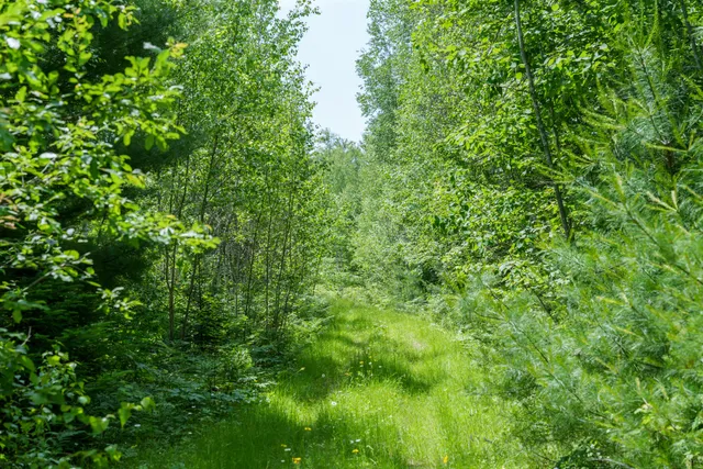 $70,000 | Lot 26-37 Otter Trail, Greenbush, ME 04418