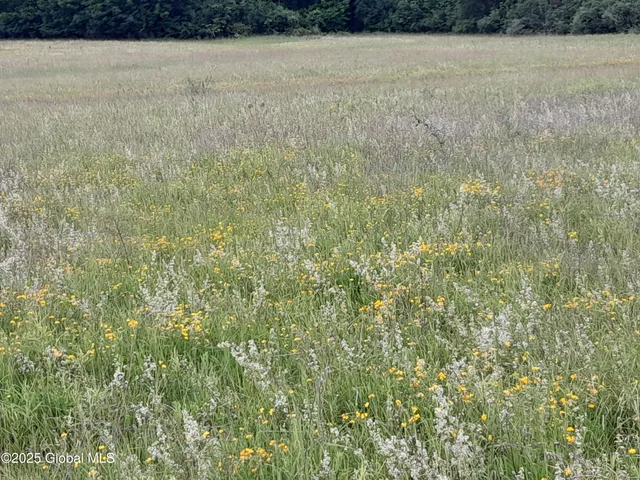 $79,900 | L45 Roberts Hill Road, West Coxsackie, NY 12192