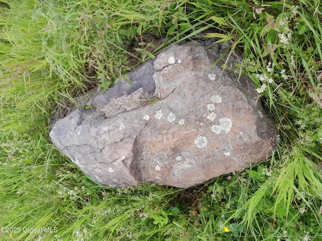 $79,900 | L45 Roberts Hill Road, West Coxsackie, NY 12192