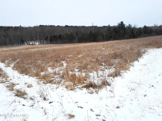 $79,900 | L45 Roberts Hill Road, West Coxsackie, NY 12192