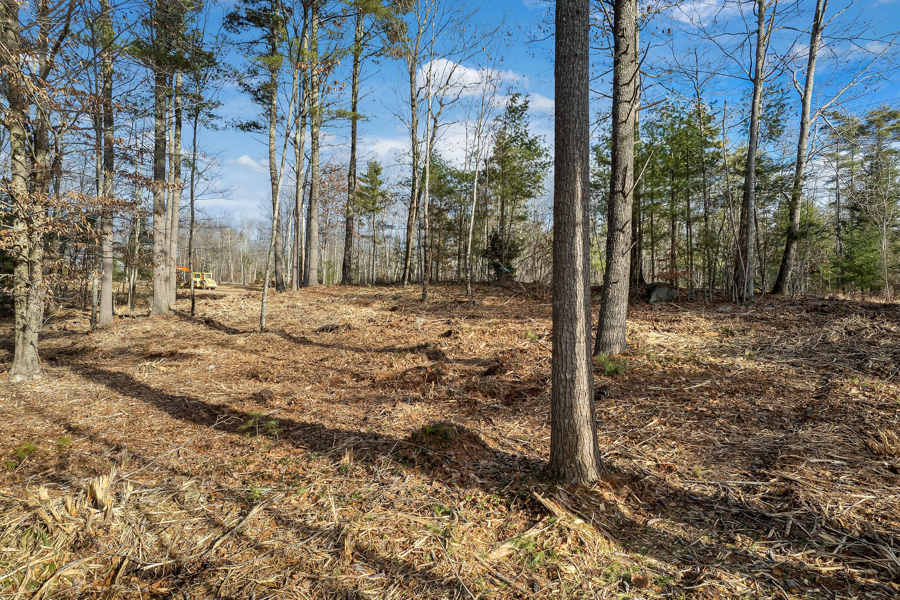 Tbd Ali Pond Road, Unit LOT 5 Berwick, ME 03901 - Photo 6 of 18 Lot 5 Woodland Pond, Berwick