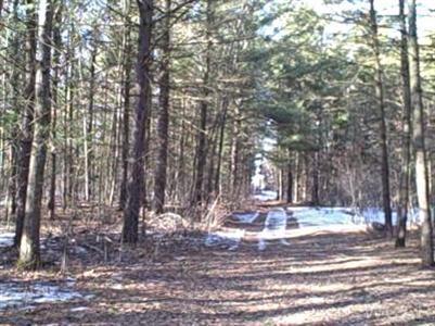 23299 4 Mile Road Morley, MI 49336 - Photo 4 of 5 Additional Photo