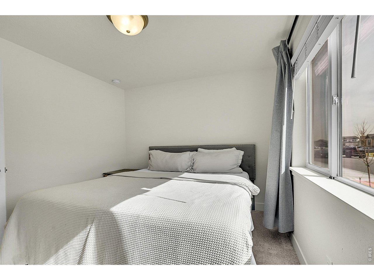 432 Halcyon Way Windsor, CO 80550 - Photo 26 of 40 3rd Bedroom