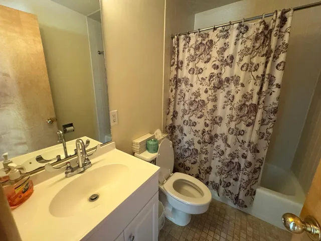 a bathroom with a sink and a toilet