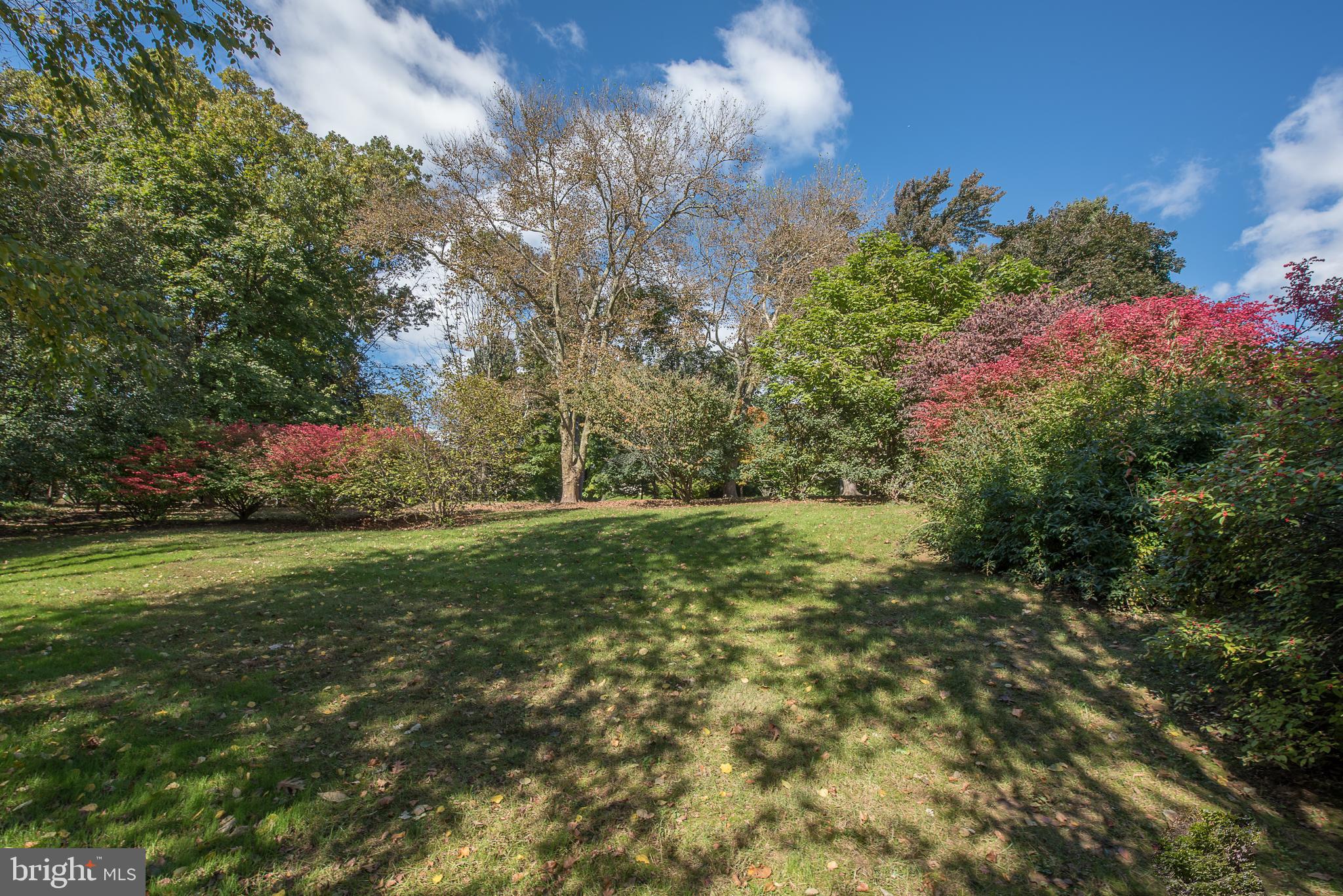 1229 Denbigh Lane Wayne, PA 19087 - Photo 55 of 64 Grounds to the rear