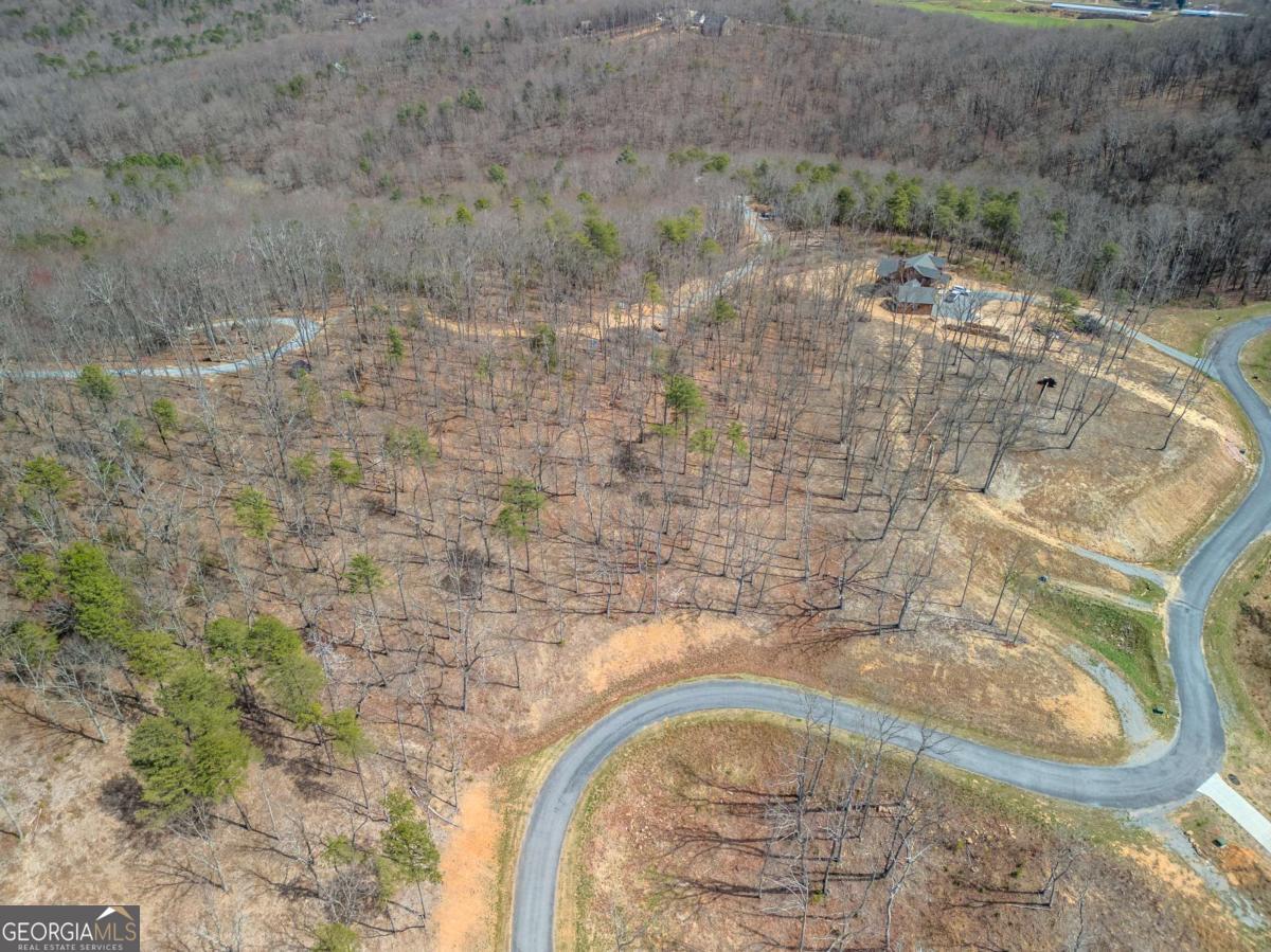 Lot 67 High Summit Drive Talking Rock, GA 30175 - Photo 3 of 12