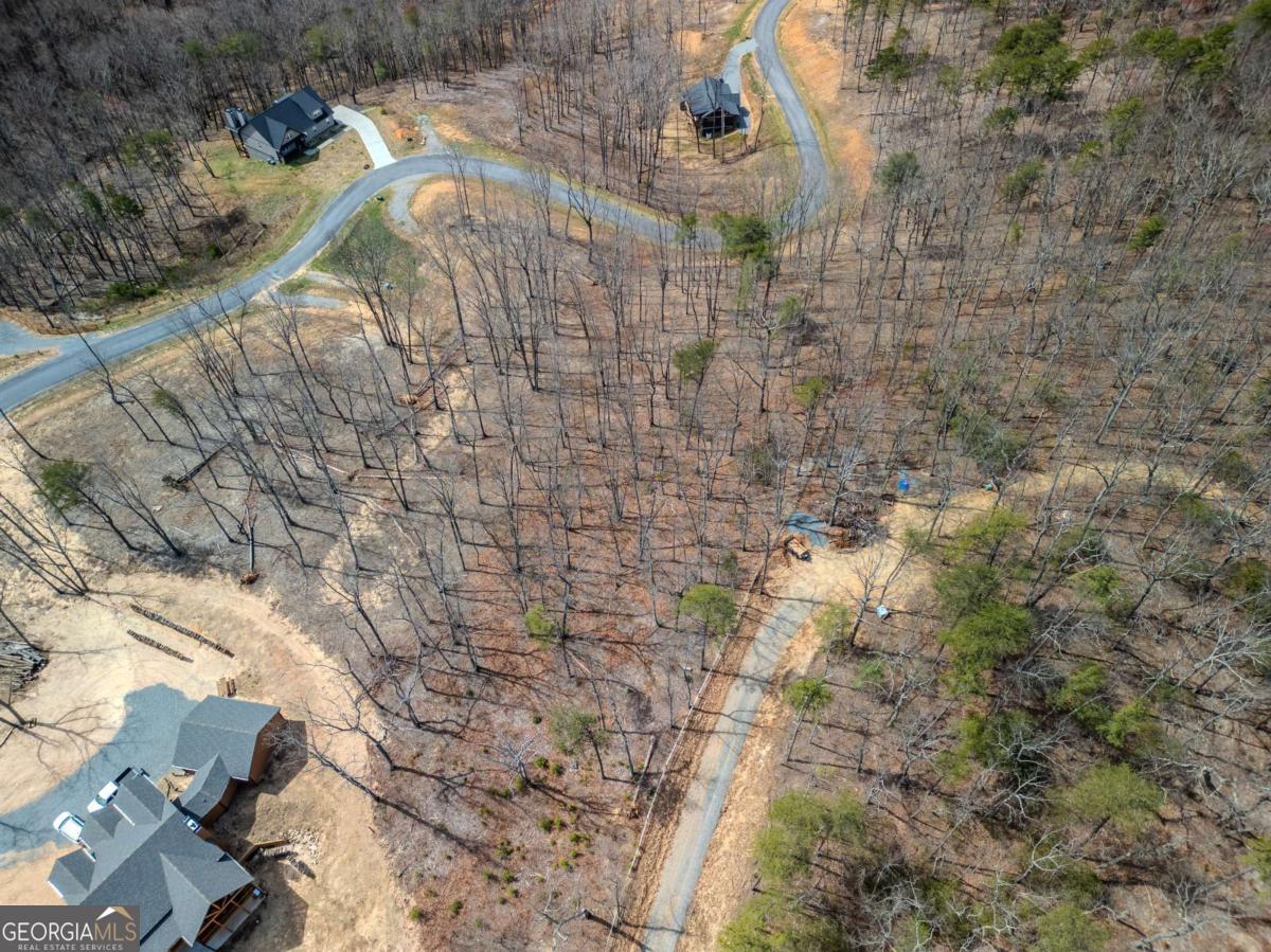 Lot 67 High Summit Drive Talking Rock, GA 30175 - Photo 8 of 12