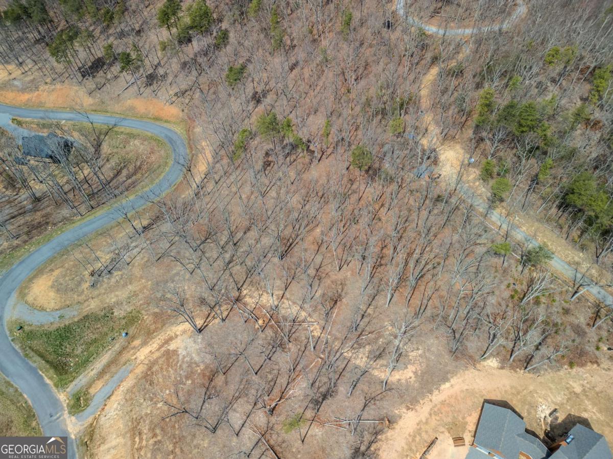 Lot 67 High Summit Drive Talking Rock, GA 30175 - Photo 9 of 12