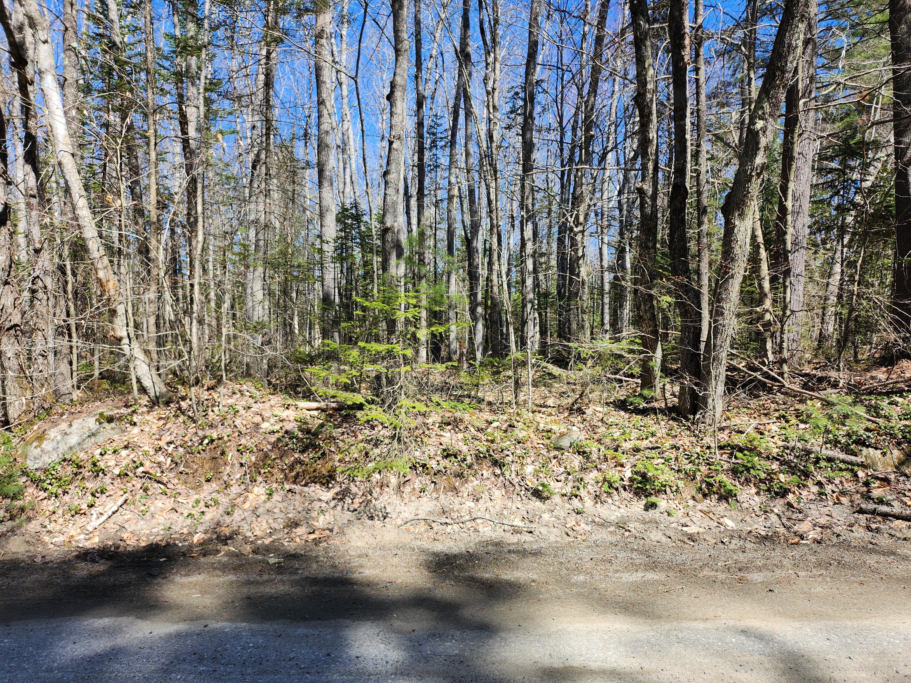 Lot #36 Morrill Pond Road Canaan, ME 04924 - Photo 6 of 6 20240426_105516