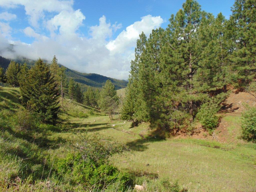 27235 Lazy Springs Road Clinton, MT 59825 - Photo 54 of 94 Gallery Image 54