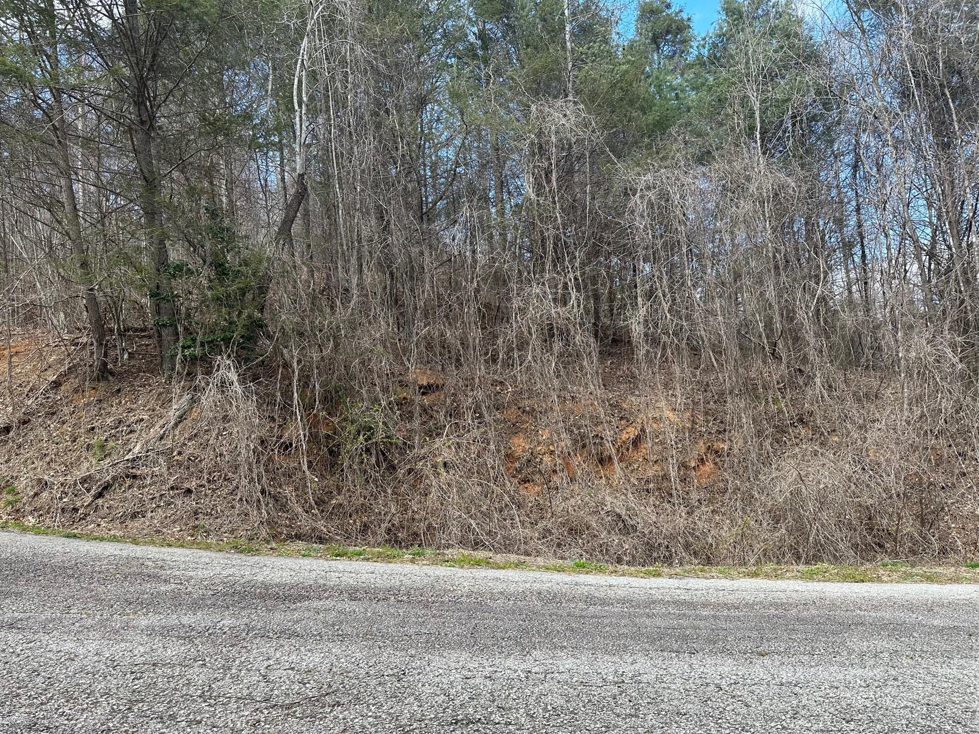 0 Tuckaway Ridge Drive Hendersonville, NC 28792 - Photo 3 of 6 a view of a yard