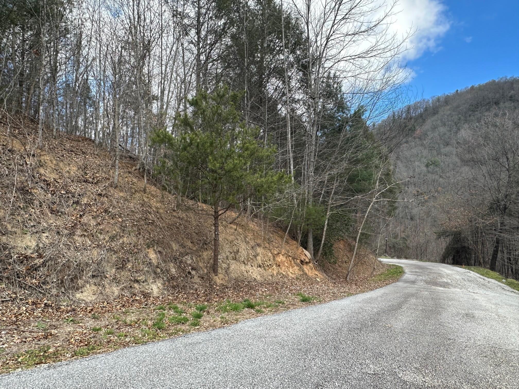 0 Tuckaway Ridge Drive Hendersonville, NC 28792 - Photo 6 of 6 a view of a backyard