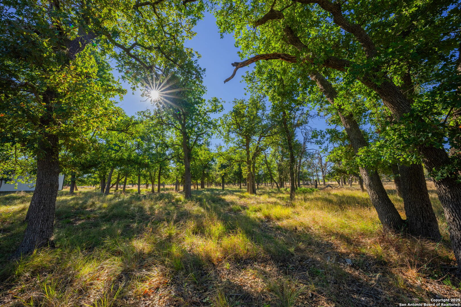 28 Ruger Road Fredericksburg, TX 78624 - Photo 19 of 46 a view of yard with green space and trees all around