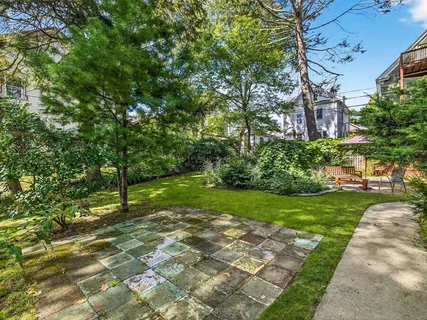 a view of a yard with plants and large trees