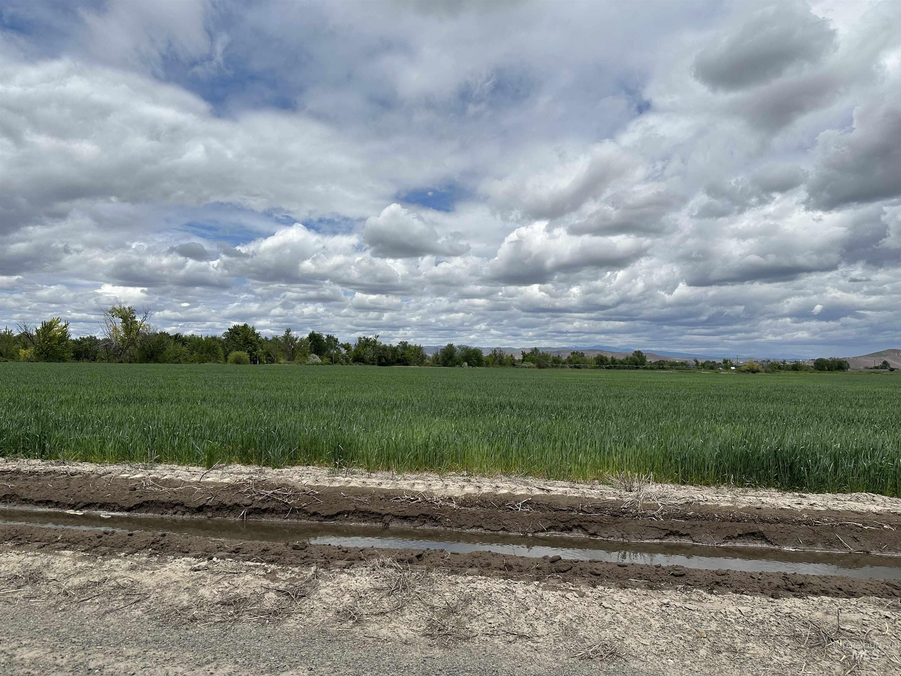 Tbd Airport Road Weiser, ID 83672 - Photo 2 of 5 View of undeveloped land featuring rural landscape