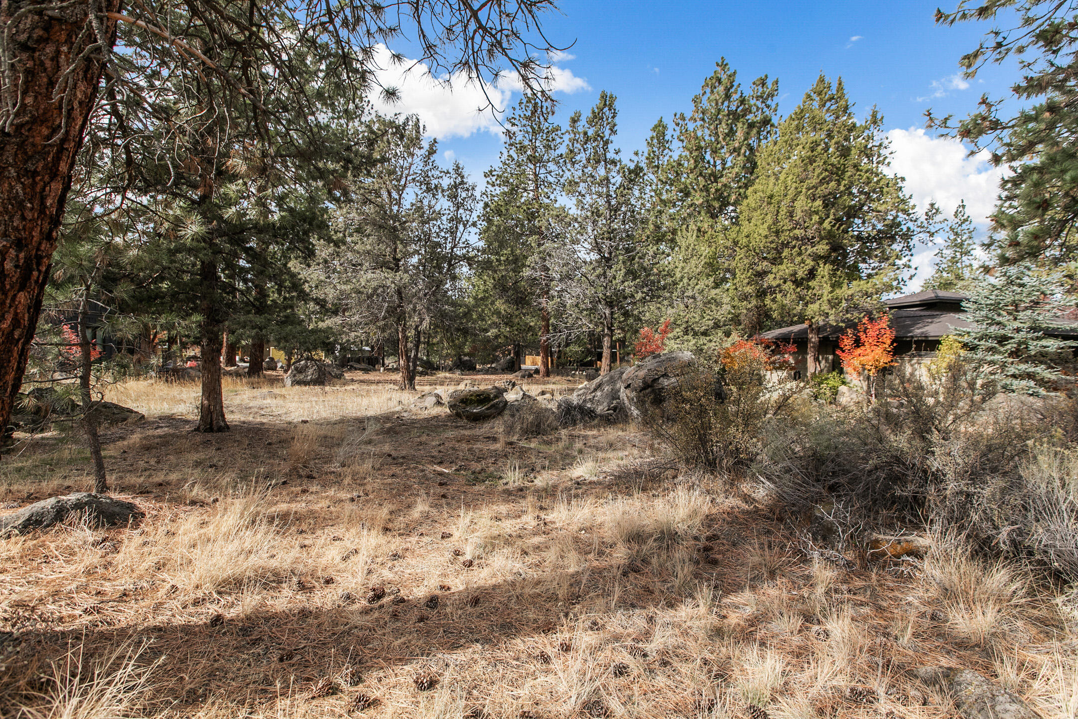 61640 Cedarwood Road Bend, OR 97702 - Photo 10 of 19 2021_10_20_61640_cedarwood-15