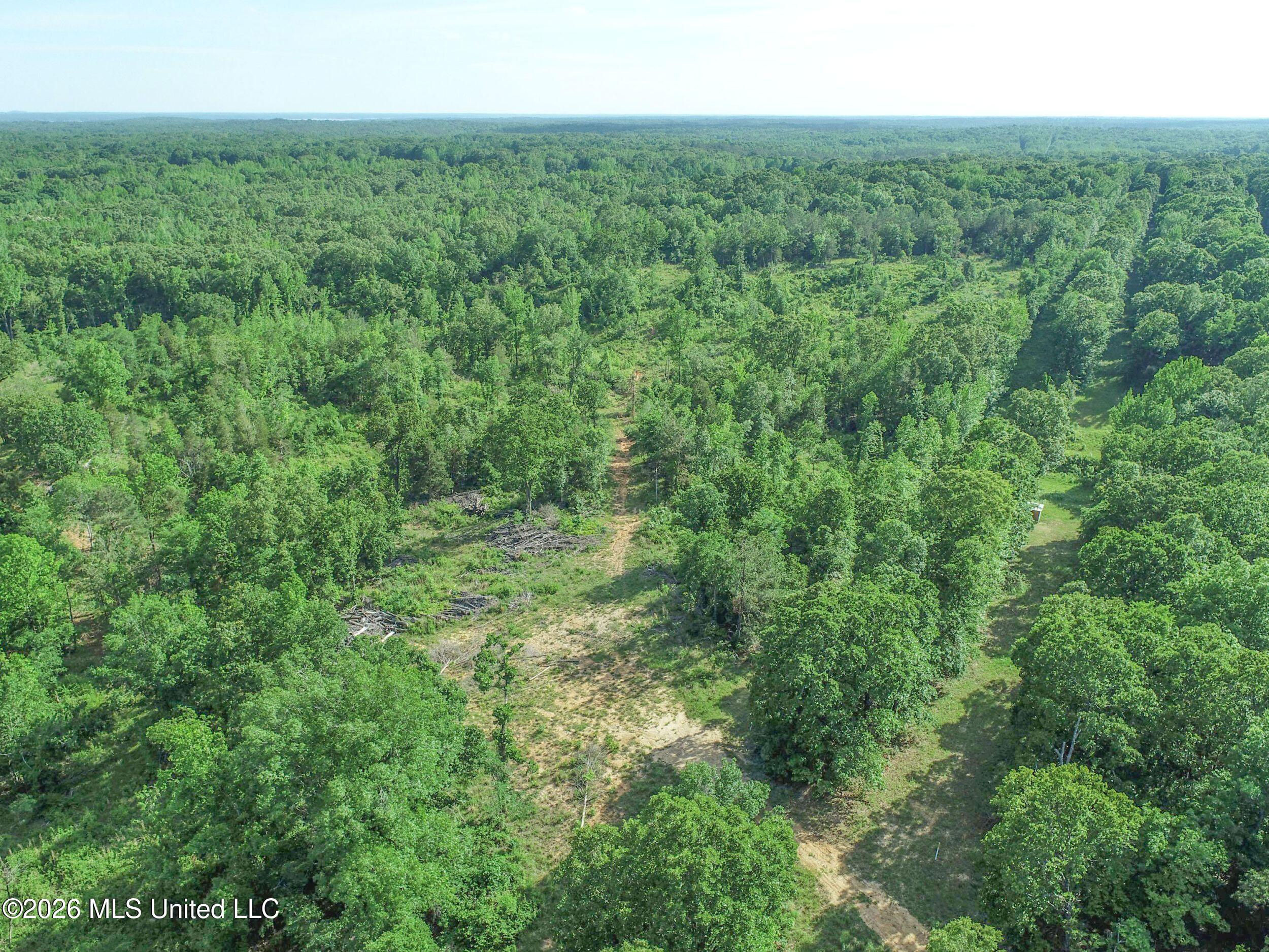 Wayne Massie Road Como, MS 38619 - Photo 54 of 184 3ctwmrd36
