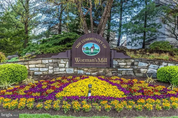 a view of sign board with plants