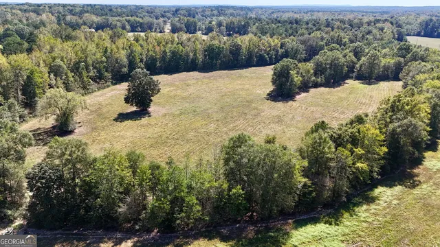an aerial view of a house with a yard and trees