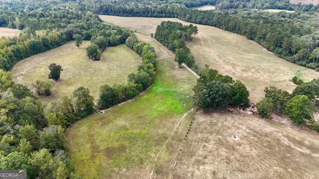 a big yard with trees in the background