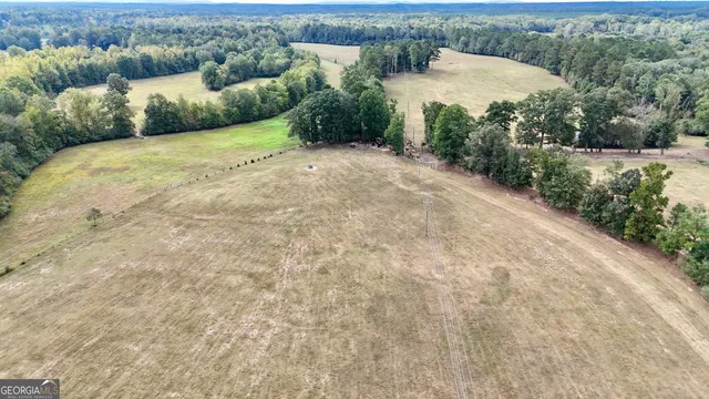 a view of a field with trees in the background