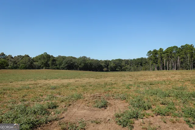 a view of swimming pool with a yard and large trees