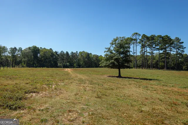 a view of lake with trees