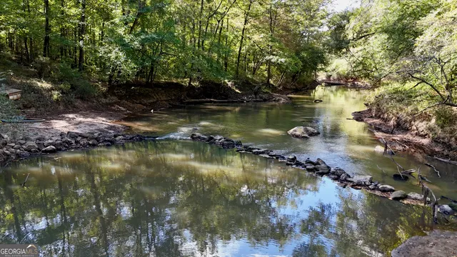 a body of water with a tree in the background