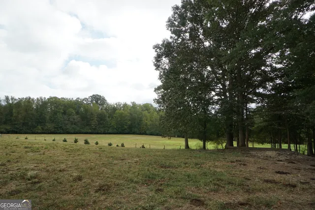 a view of a field with trees in the background