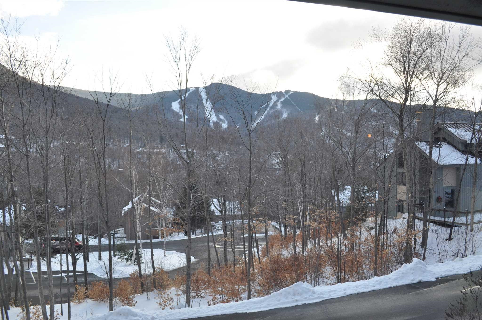 19 Birch Road, Unit 1 Lincoln, NH 03251 - Photo 40 of 41 Gallery Image 40