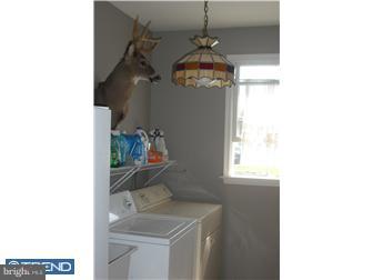 1332 Deer Run Road Hatfield, PA 19440 - Photo 8 of 12 Laundry Room