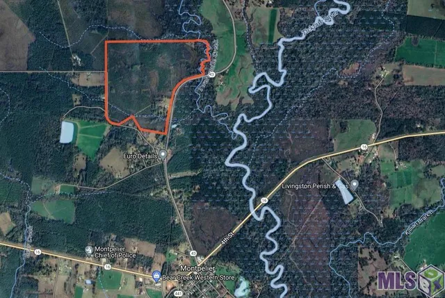 $368,000 | 6059 Highway 43, Montpelier, LA 70422