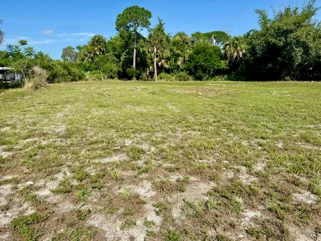a view of a field with an trees