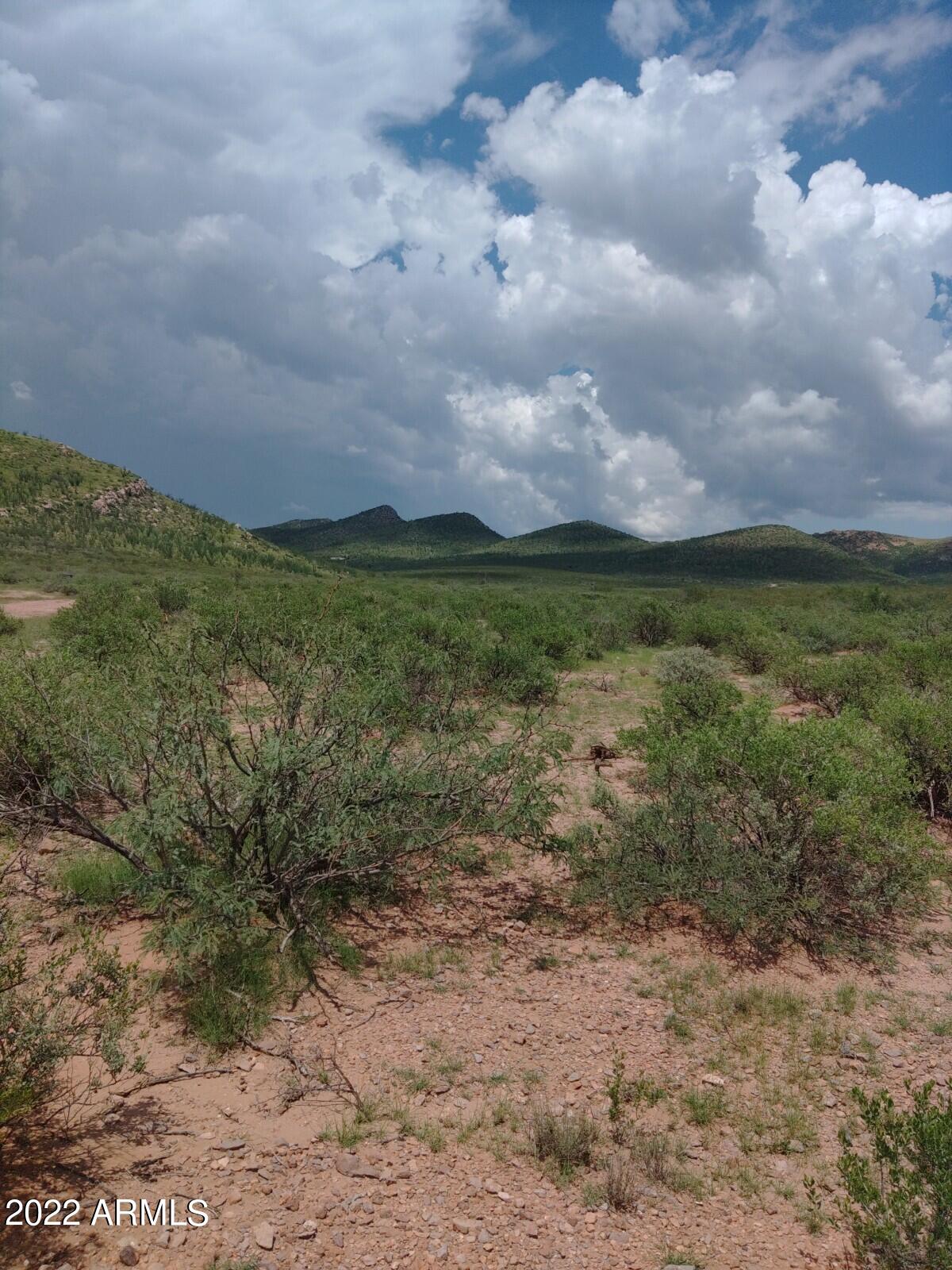Tbd East Get Lost Road Douglas, AZ 85607 - Photo 11 of 13 Get Lost Rd3