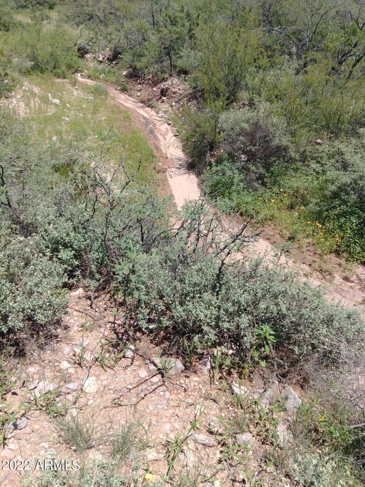 Tbd East Get Lost Road Douglas, AZ 85607 - Photo 6 of 13 Get Lost Rd8