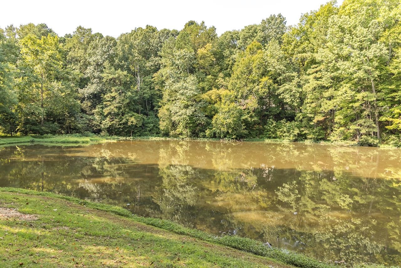 8724 Fort Macon Court Raleigh, NC 27615 - Photo 29 of 30 Pond adjacent to property