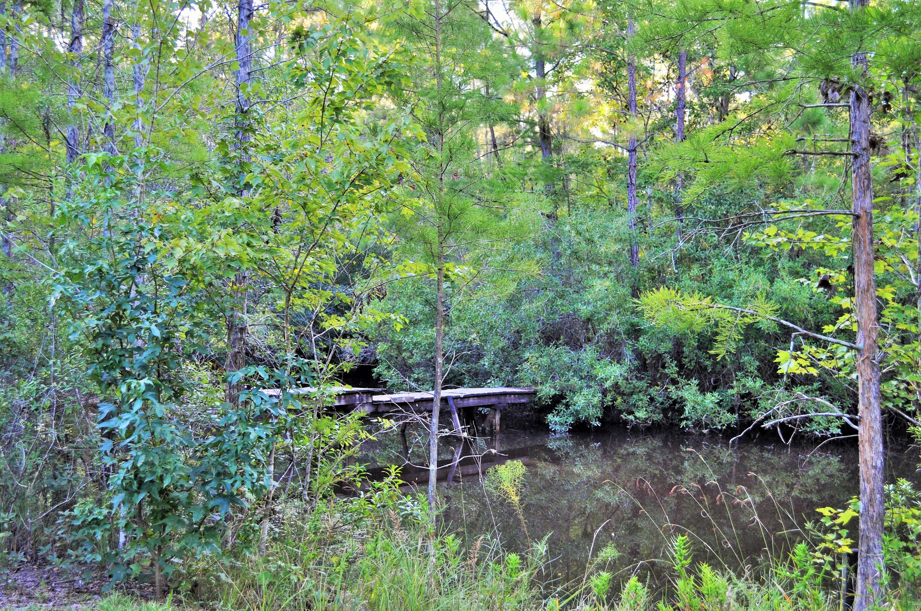 3001 Jerry Davis Road Moss Point, MS 39562 - Photo 9 of 31 DSC_0337