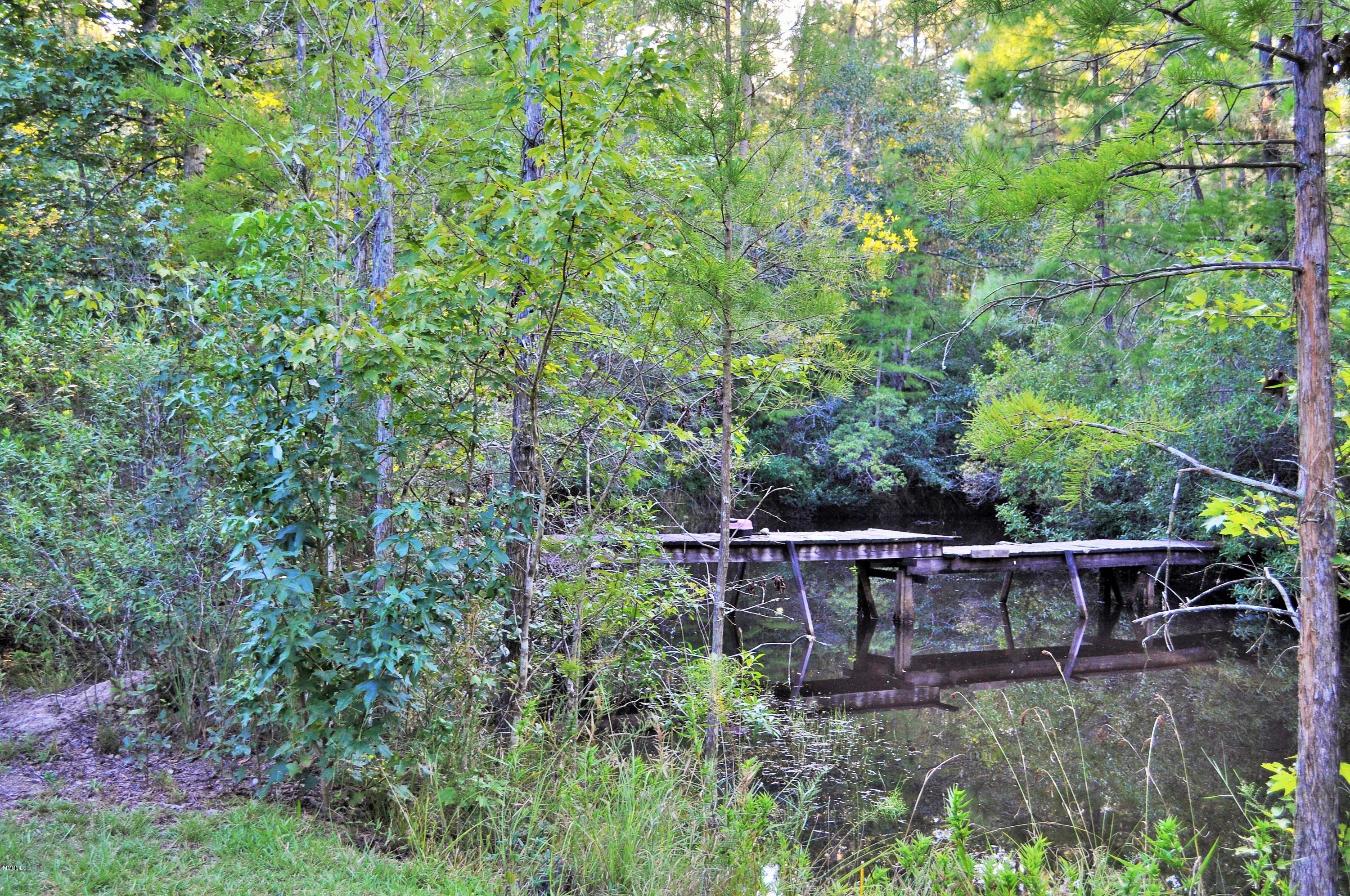 3001 Jerry Davis Road Moss Point, MS 39562 - Photo 10 of 31 DSC_0338