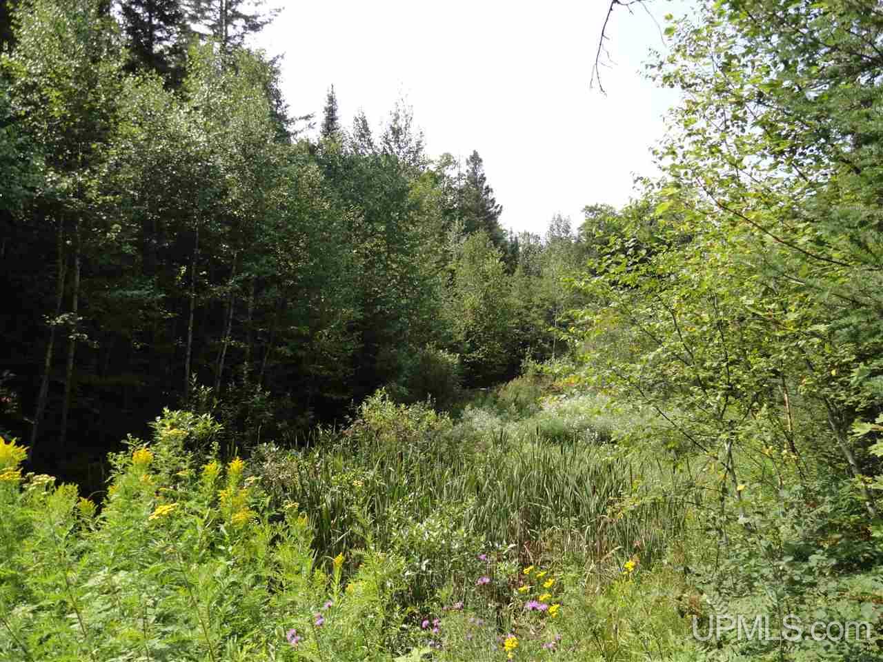40-acres 40-acres Co Road Ishpeming, MI 49849 - Photo 24 of 36