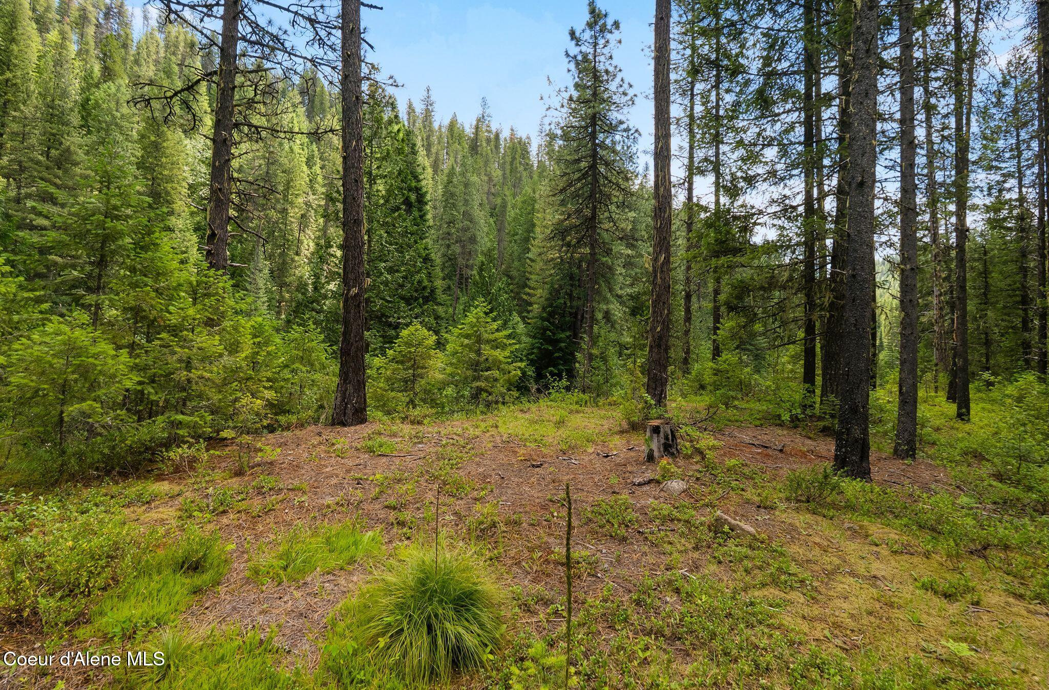 Nna Lantern Lane Sandpoint, ID 83864 - Photo 25 of 29 22_DSC05964