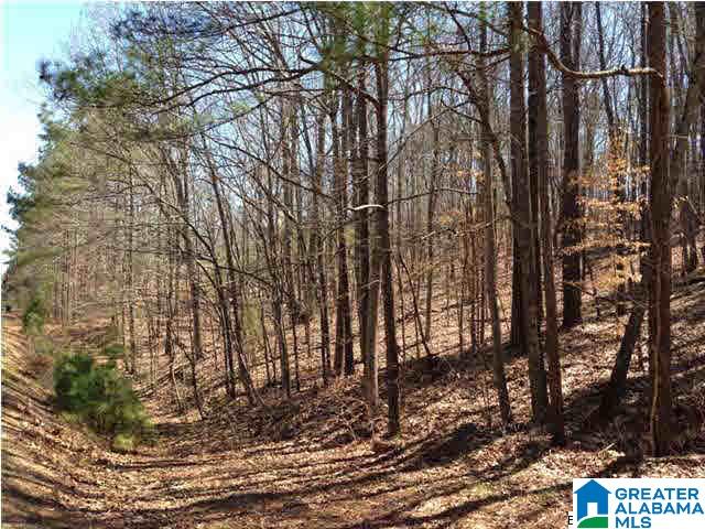 0 Woolfolk Road, Unit 3 ACRES Munford, AL 36268 - Photo 19 of 24