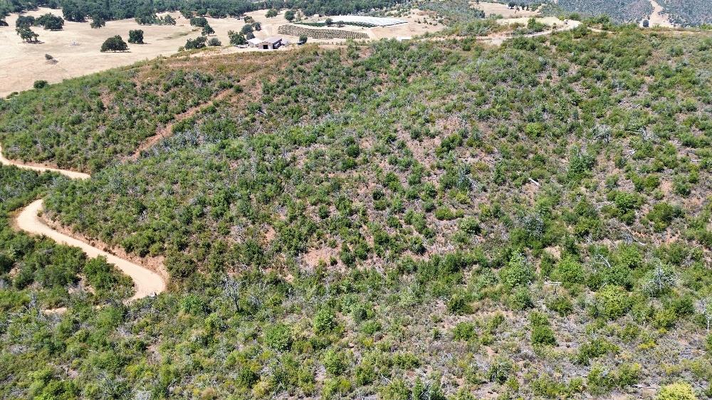 8519 Maranatha Lane Mountain Ranch, CA 95246 - Photo 2 of 9 a view of a big yard with lots of green space