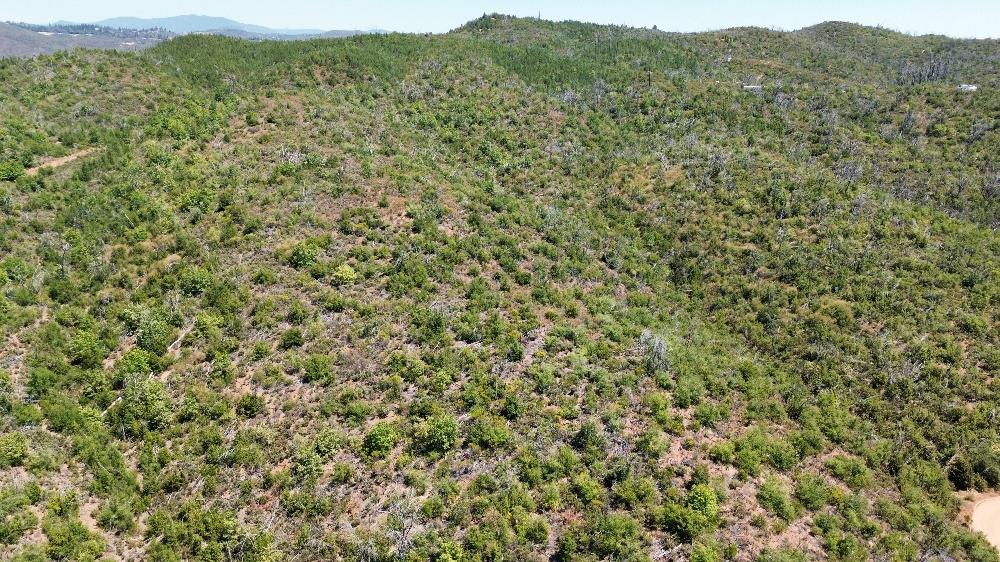 8519 Maranatha Lane Mountain Ranch, CA 95246 - Photo 3 of 9 a view of a lush green field