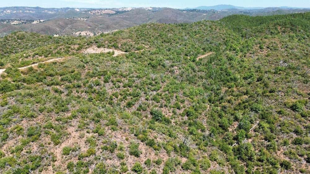 8519 Maranatha Lane Mountain Ranch, CA 95246 - Photo 4 of 9 a view of a lush green field with a mountain in the background
