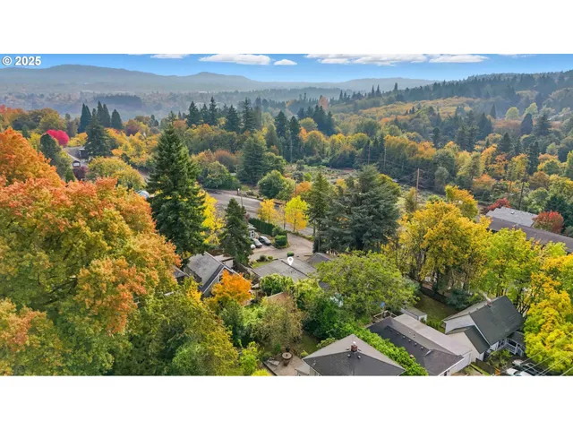 a black and white photo of a garden
