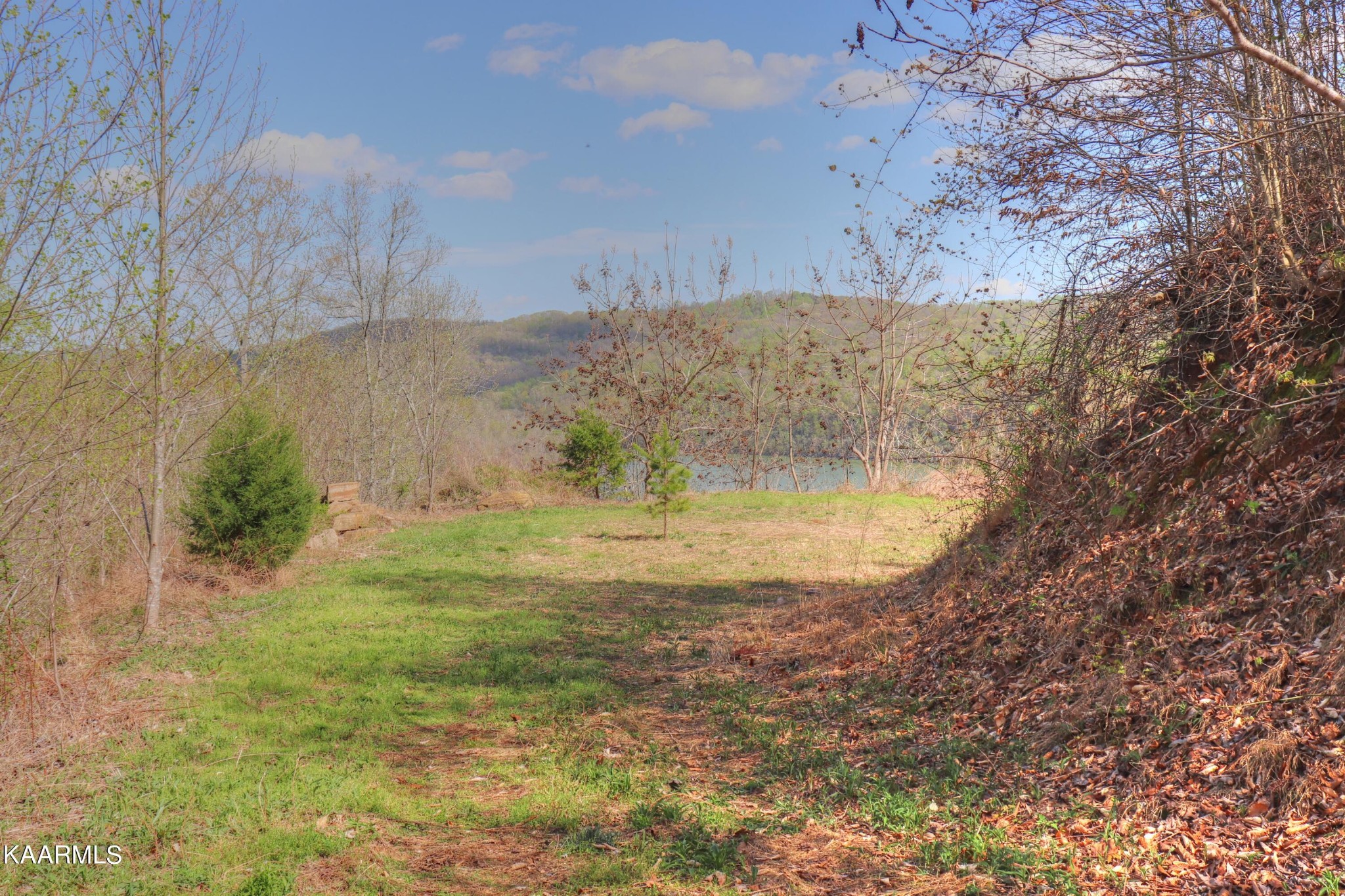873 Clearwater Road New Tazewell, TN 37825 - Photo 16 of 38