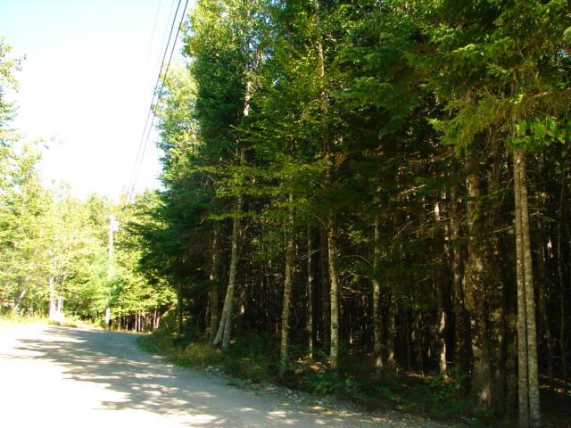 38 High Head Road East Machias, ME 04630 - Photo 3 of 5 Photo