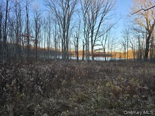 Logtown Road Port Jervis, NY 12771 - Photo 13 of 15 a view of a yard with trees